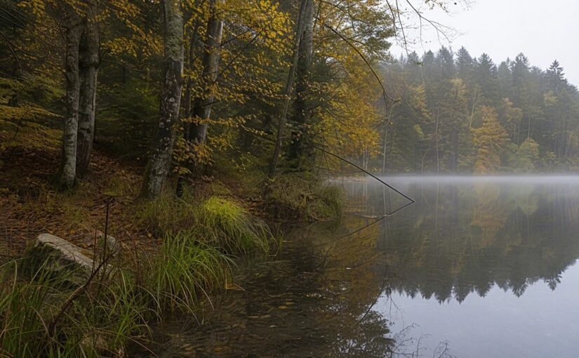 Herbst am Stechlinsee: wenn das Wasser am klarsten ist